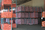 Dry warehouse for Vegetable